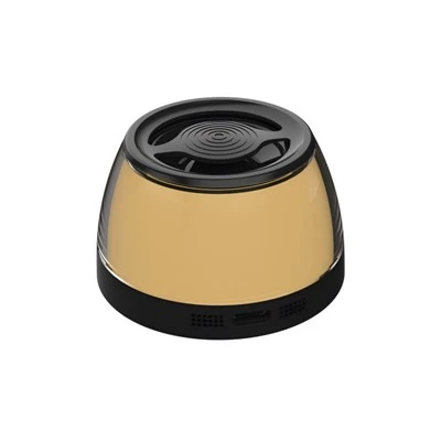 Wireless Charger with Bluetooth Speaker